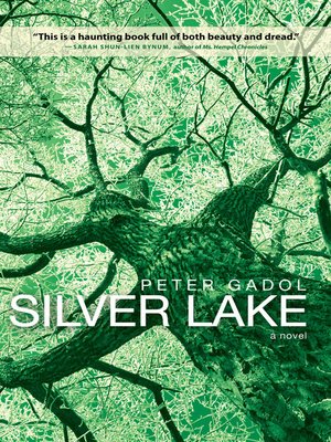 cover image of Silver Lake